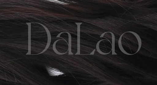 Black tea curly wavy Lolita wig with air bangs and natural dark brown wavy texture, styled for romantic daily wear and photography coordination