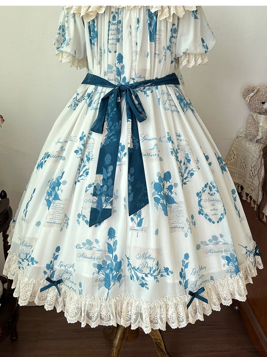 Outdoor natural lighting photography of blue and white Lolita dress showing color appearance and print vibrancy in daylight conditions