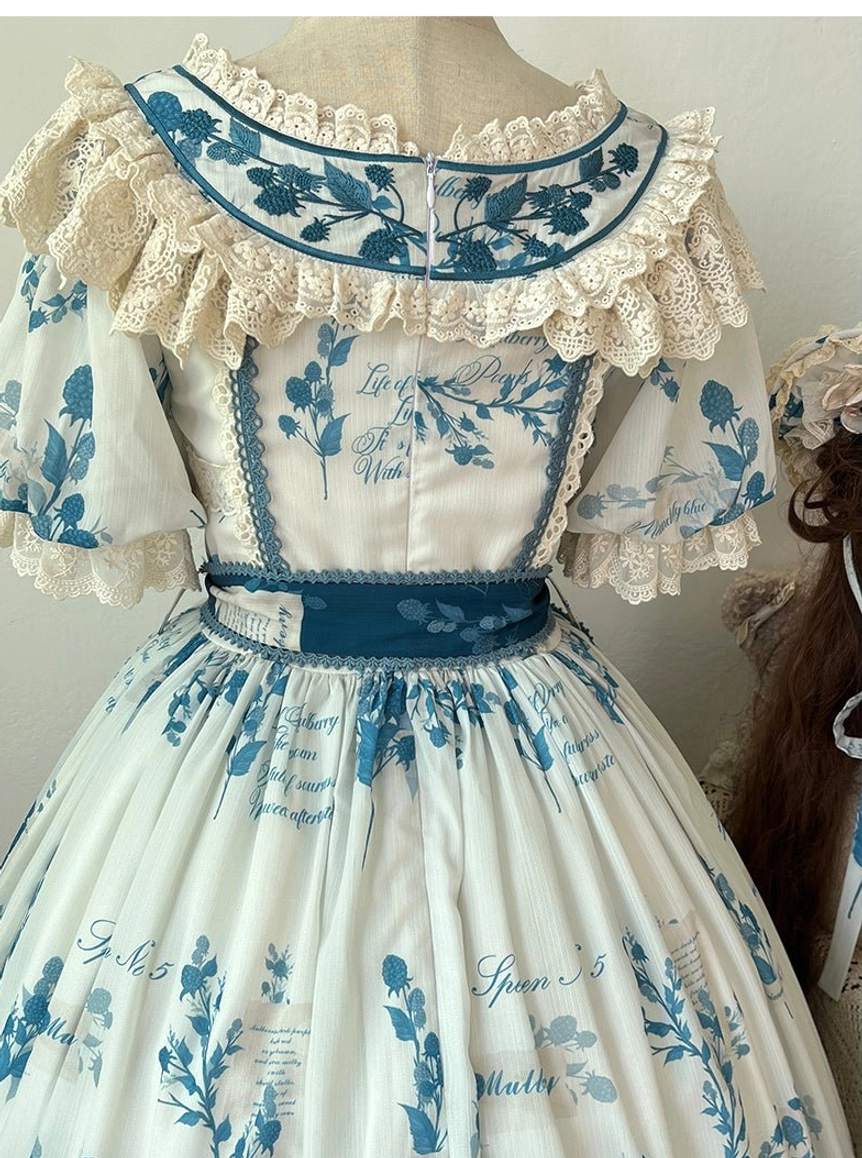Indoor studio photograph of country Lolita dress set displaying print clarity and color accuracy under controlled lighting conditions