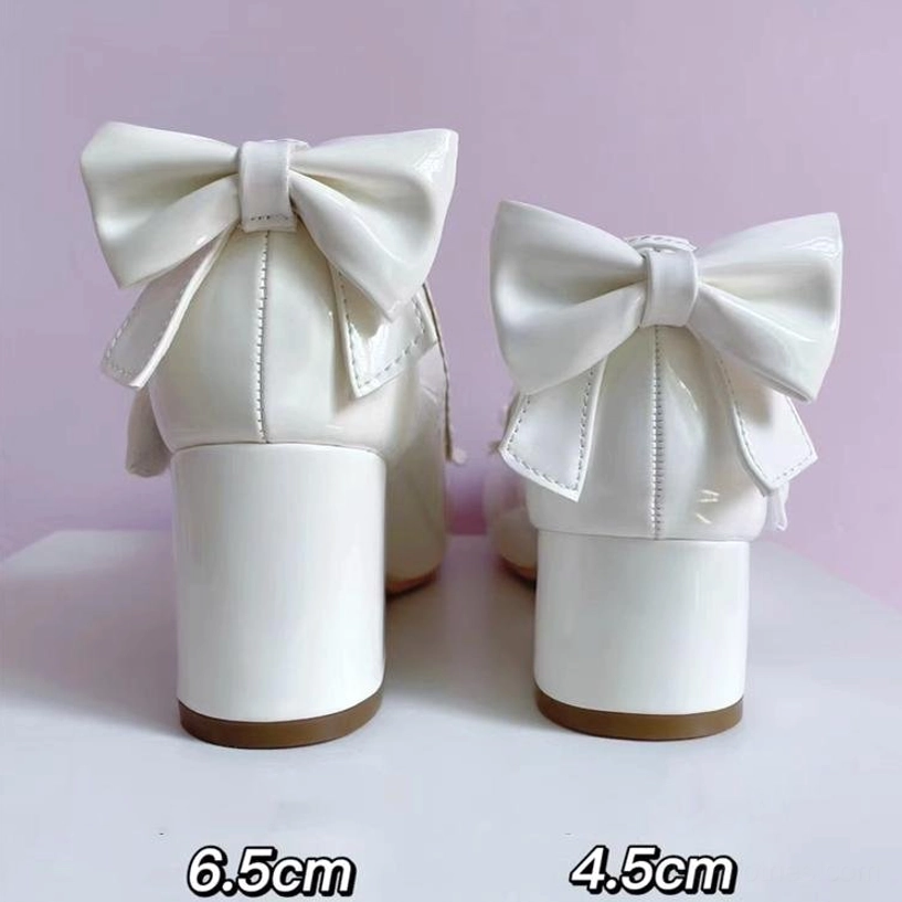 Enchanted Mary Jane Lolita heels product photography showing complete design aesthetic and elegant styling