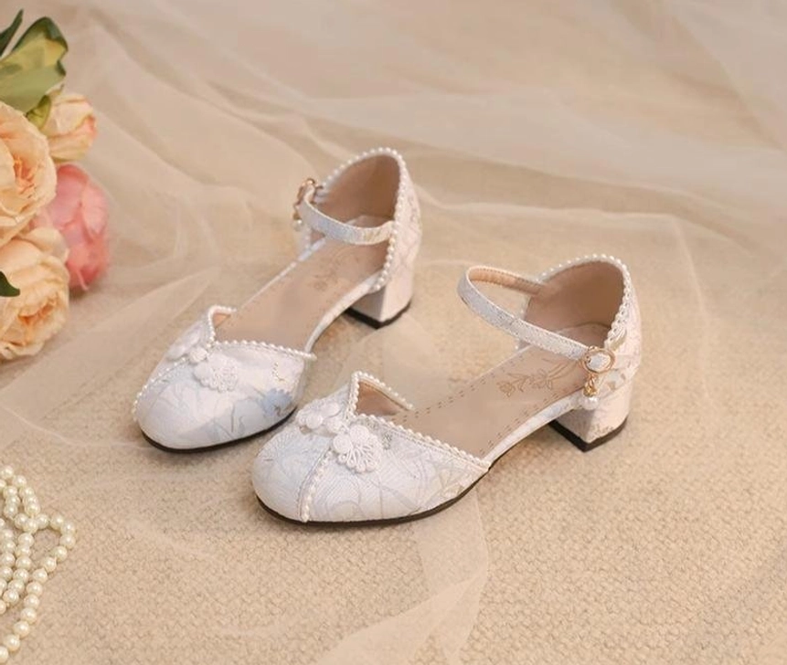 Lolita Mary Jane shoes blue color chunky heel ankle strap embroidered details versatile styling option