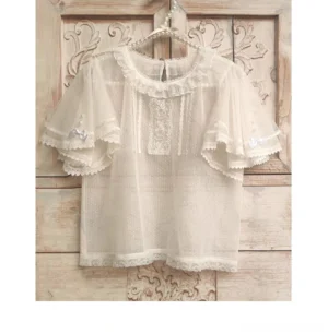 Sheer dot-mesh Lolita tulle short-sleeved blouse with lace yoke neckline and front lace panel hung on vintage wooden door with carved background